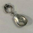 GUM LEAF AND GUMNUT TEA SCOOP WITH HANDLE